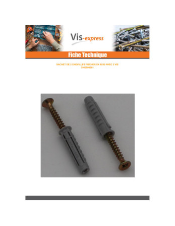 Sachet De 2 Cheville Fischer SX6 Avec 2 Vis