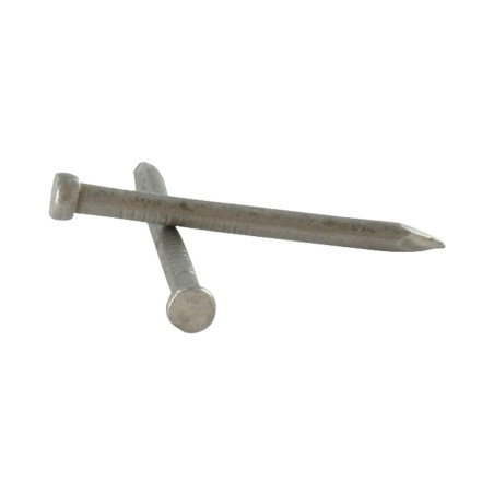 1 x Kg de pointes Tête homme Longueur 50 Diamètre 2,2 Inox A2