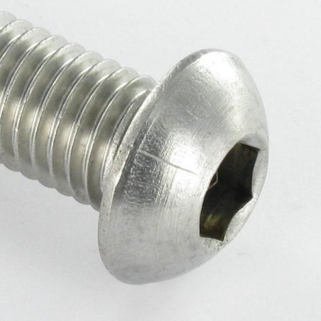 1 x Vis métaux Inox A2 BHC (Tête Bombée Hexagonal creux) M10X30 Filetage total Clé de 6 HC6