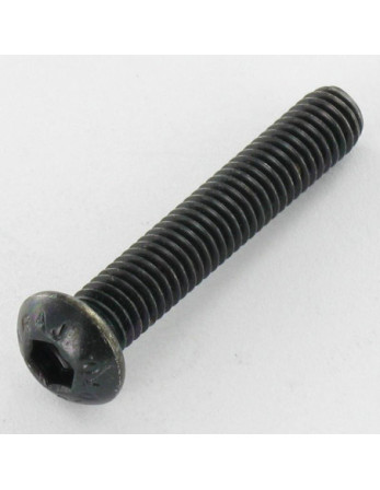 Vis métaux Inox A2 Noir BHC (Tête Bombée Hexagonal creux) M8X20 Filetage total Clé de 5 HC5