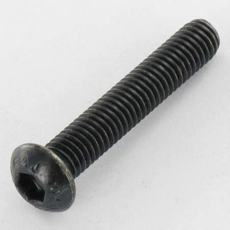 1 x Vis métaux Inox A2 Noir BHC (Tête Bombée Hexagonal creux) M8X20 Filetage total Clé de 5 HC5