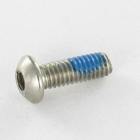 1 x Vis métaux Inox A2 BHC (Tête Bombée Hexagonal creux) M4X12 Clé de 2.5 HC2.5 Filetage total Frein filet