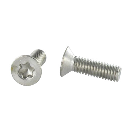 1 x Vis métaux Tête fraisée TORX T20 M4X10 Inox A4
