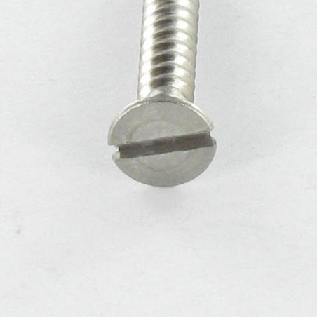 1 x VBA Vis bois agglo Tête fraisée Fendue 4X25 Inox A2