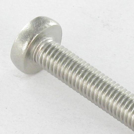 1 x Vis métaux tête cylindrique bombée large Pozi N°2 M4X10 Inox A4