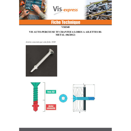 1 x Vis autoperceuse Bimétal Tête fraisée Cranté TORX T25 4.8X38