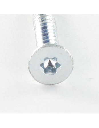 Vis autoperceuse Bimétal Tête fraisée Cranté TORX T25 5.5X50