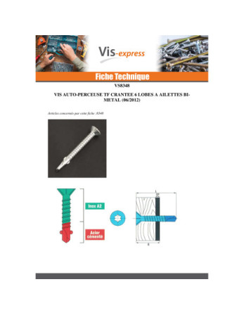 Vis autoperceuse Bimétal Tête fraisée Cranté TORX T25 5.5X50