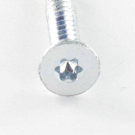1 x Vis autoperceuse Bimétal Tête fraisée Cranté TORX T30 6.3X60