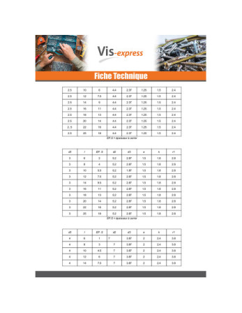 Rivet à frapper Tête ronde TR Inox A2 2.5X6