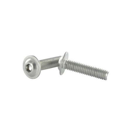 1 x Vis métaux BHC (Tête Bombée Hexagonal creux) Embase collerette M6X50 Clé de 4 HC4 Inox A4