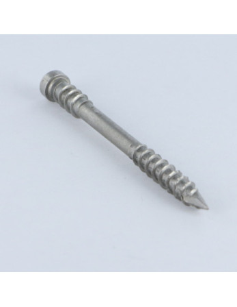 Spax Vis terrasse Tête cylindrique TC TORX T25 5X60 Inox A2