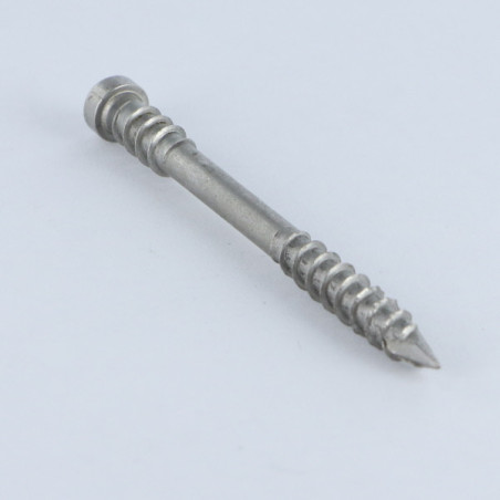 1 x Spax Vis terrasse Tête cylindrique TC TORX T25 5X60 Inox A2