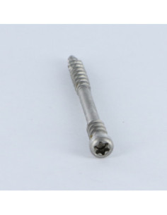 Spax Vis terrasse Tête cylindrique TC TORX T25 5X60 Inox A2 2