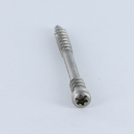 1 x Spax Vis terrasse Tête cylindrique TC TORX T25 5X60 Inox A2
