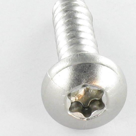 1 x Vis tôle tête cylindrique bombée large 4.8X31 Inox A2 TORX T25