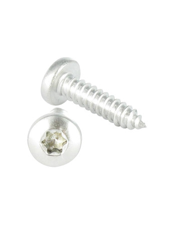 Vis tôle tête cylindrique bombée large 3.9X19 Inox A2 TORX T15 Noir
