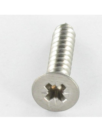 Vis tôle Inox A2 Tête fraisée Pozi 6.3X60