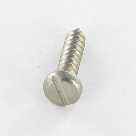 1 x Vis tôle Inox A2 Tête cylindrique TC Fendue 4.8X16