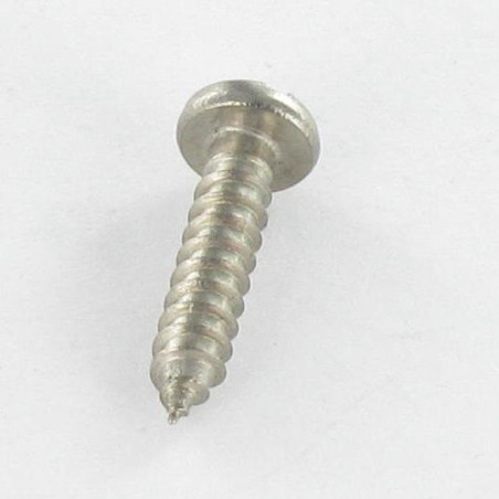 1 x Vis tôle Inox A2 Tête cylindrique TC Fendue 4.8X16
