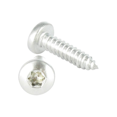 1 x Vis tôle tête cylindrique bombée large 4.8X19 Inox A2 TORX T25