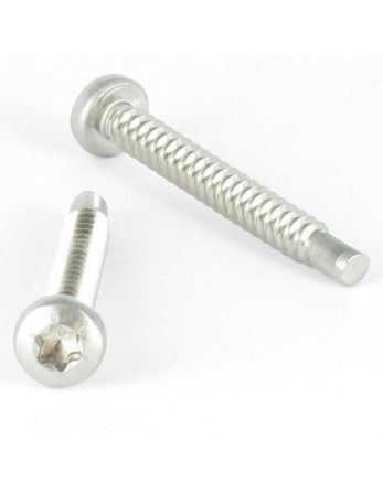 Vis tôle tête cylindrique bombée large 4.2X35 Inox A2 TORX T20 Bout pilote