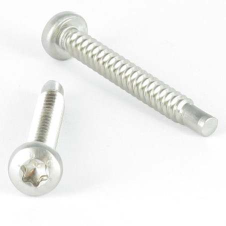 1 x Vis tôle tête cylindrique bombée large 4.2X35 Inox A2 TORX T20 Bout pilote