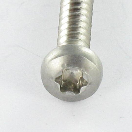 1 x Vis tôle tête cylindrique bombée large 4.2X35 Inox A2 TORX T20 Bout pilote