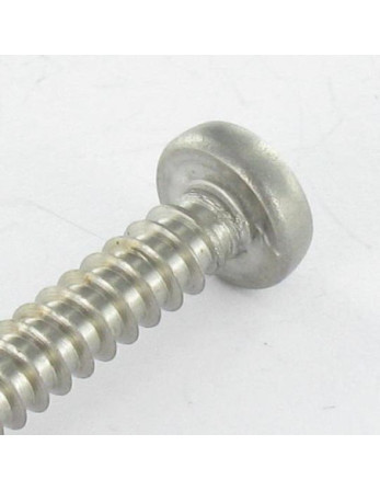 Vis tôle tête cylindrique bombée large 4.2X35 Inox A2 TORX T20 Bout pilote