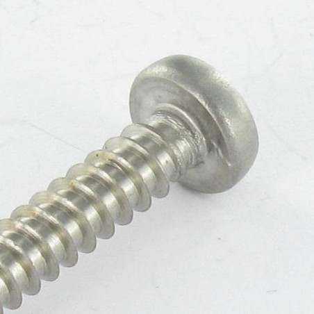 1 x Vis tôle tête cylindrique bombée large 4.2X35 Inox A2 TORX T20 Bout pilote