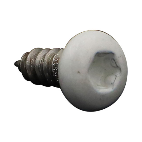 1 x Vis tôle tête cylindrique bombée large 4.2X13 Inox A2 TORX T20 RAL9010 blanc pur