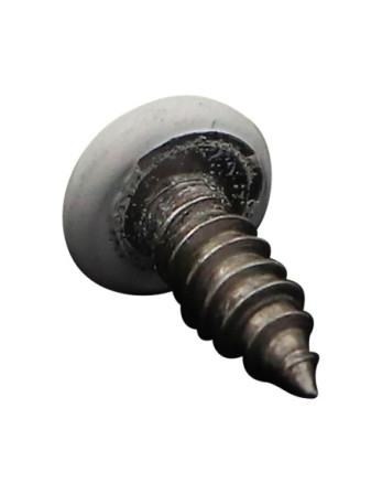 Vis tôle tête cylindrique bombée large 4.2X13 Inox A2 TORX T20 RAL9010 blanc pur