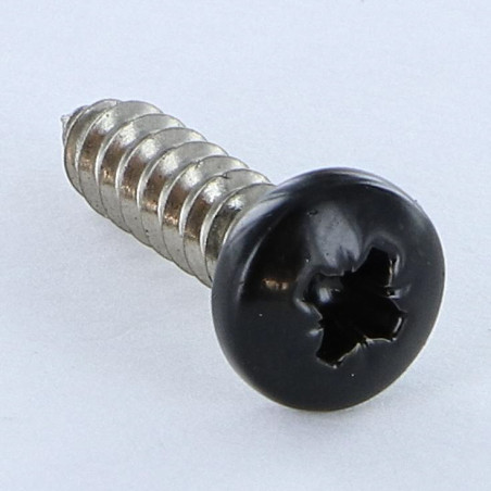1 x Vis tôle Inox A2 tête cylindrique bombée large Pozi 4.8X19 RAL9005 noir foncé