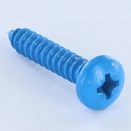 1 x Vis tôle Inox A2 tête cylindrique bombée large Pozi 4.8X25 Bleu RAL5012