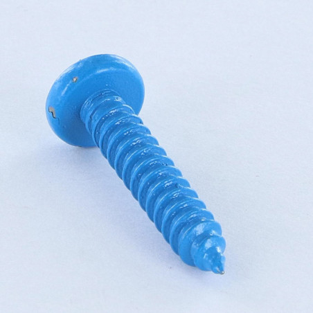 1 x Vis tôle Inox A2 tête cylindrique bombée large Pozi 4.8X25 Bleu RAL5012