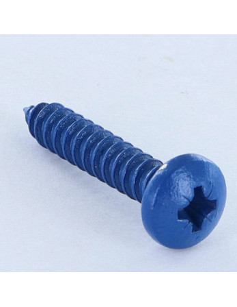 Vis tôle Inox A2 tête cylindrique bombée large Pozi 4.8X25 Bleu RAL5010