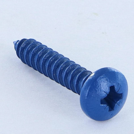 1 x Vis tôle Inox A2 tête cylindrique bombée large Pozi 4.8X25 Bleu RAL5010