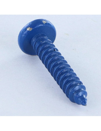 Vis tôle Inox A2 tête cylindrique bombée large Pozi 4.8X25 Bleu RAL5010