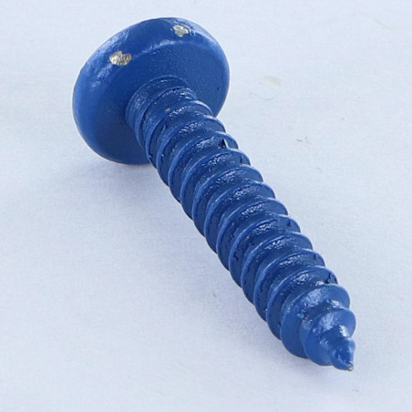 1 x Vis tôle Inox A2 tête cylindrique bombée large Pozi 4.8X25 Bleu RAL5010