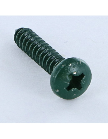 Vis tôle Inox A2 tête cylindrique bombée large Pozi 4.8X25 Vert RAL6005 vert mousse