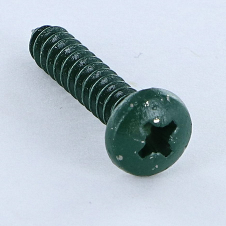 1 x Vis tôle Inox A2 tête cylindrique bombée large Pozi 4.8X25 Vert RAL6005 vert mousse