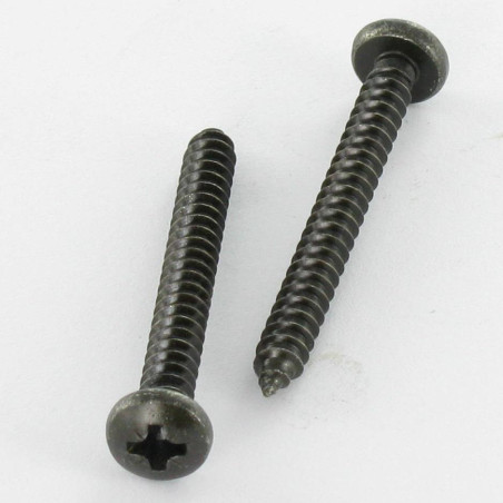 1 x Vis tôle Inox A2 tête cylindrique bombée large Pozi 4.2X38 Noir