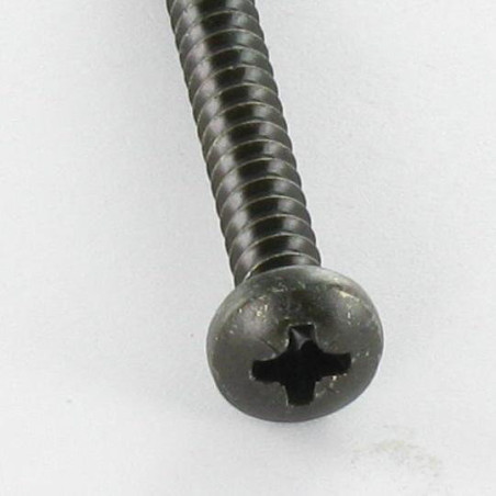 1 x Vis tôle Inox A2 tête cylindrique bombée large Pozi 4.2X38 Noir