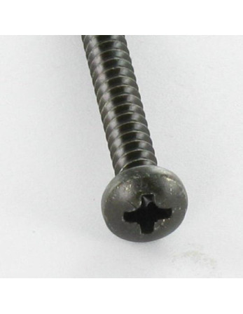 Vis tôle Inox A2 tête cylindrique bombée large Pozi 2.9X6.4 Noir
