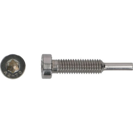 1 x Vis PINCE SOLAIRE M8X43 Inox A2
