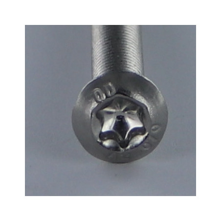 1 x Vis métaux Tête Bombée TORX T8 M2.5X5 Filetage total Inox A2 microvis
