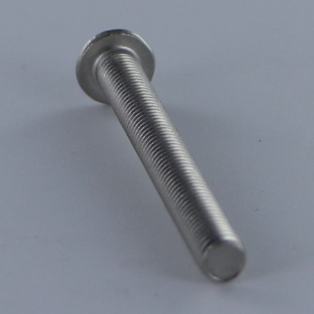 1 x Vis métaux Tête Bombée TORX T8 M2.5X5 Filetage total Inox A2 microvis