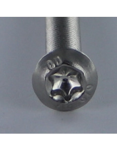 Vis métaux Tête Bombée TORX T20 M4X30 Filetage total Inox A2 2