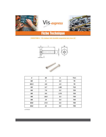 Vis métaux Tête Bombée TORX T25 M5X75 Filetage total Inox A2