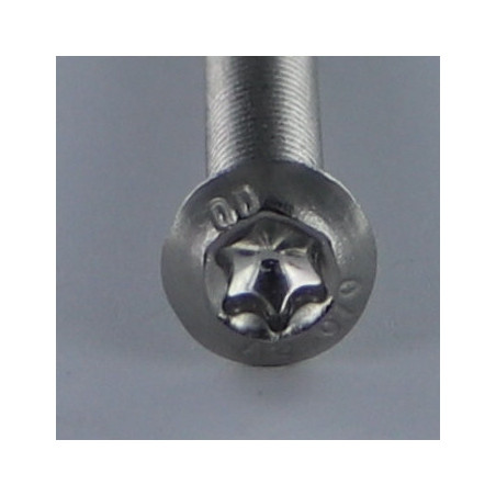 1 x Vis métaux Tête Bombée T55 M12X65 Filetage total Inox A2